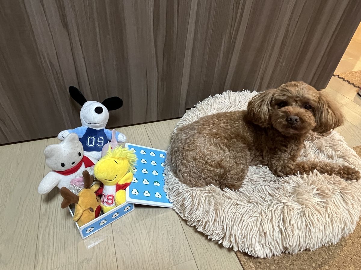 好きな人形と一緒に