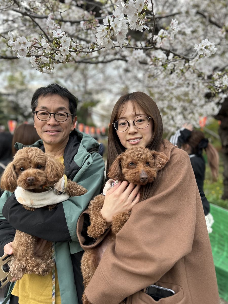 桜の下で家族と